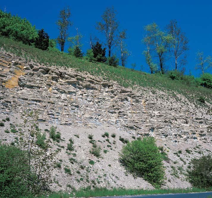 Okres Chrudim 5 6 4 GEOLOGIE Strm ãelní svah kuesty vraclavské antiklinály a ãást mírného t lového svahu z tence deskovitû rozpadav ch písãit ch a spongilitick ch slínovcû stfiedního turonu, mírnû