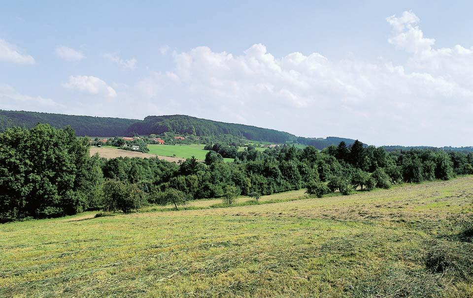 Okres Chrudim Pfiírodní park Údolí Krounky anovohradky Pfiírodní park byl zfiízen v roce 998 k ochranû ãlenité krajiny údolí fiíãek Krounky, Novohradky a ãásti Hluboãického potoka od Nov ch HradÛ a