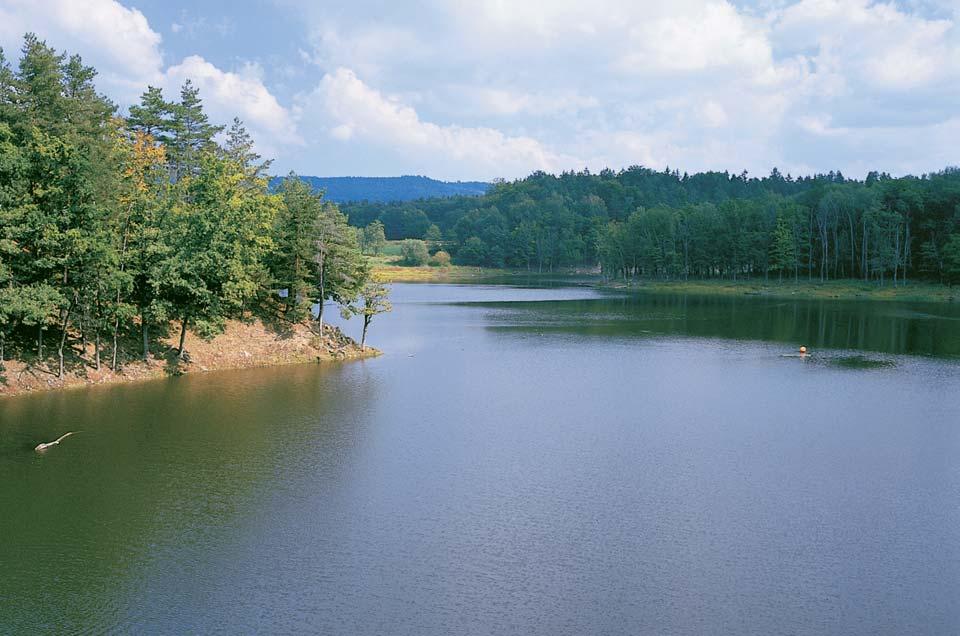 Pardubicko Pfiírodní park Doubrava Souãástí pfiírodního parku je i pfiehradní nádrï PafiíÏov. eka Doubrava nad PafiíÏovem.