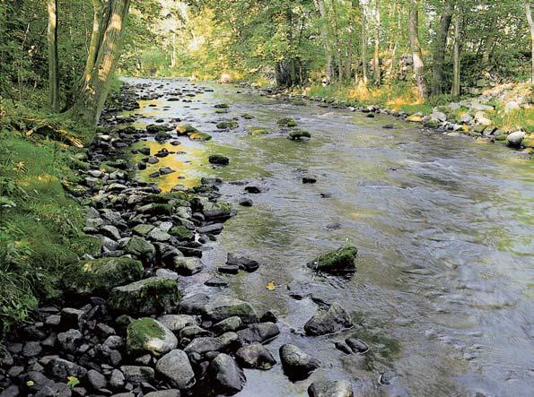 Poãet dnû se snûhovou pokr vkou se v této oblasti pohybuje v prûmûru kolem 50, první sníh se objevuje zaãátkem prosince, poslední v druhé polovinû bfiezna. Trnky rozkvétají v posledních dnech dubna.