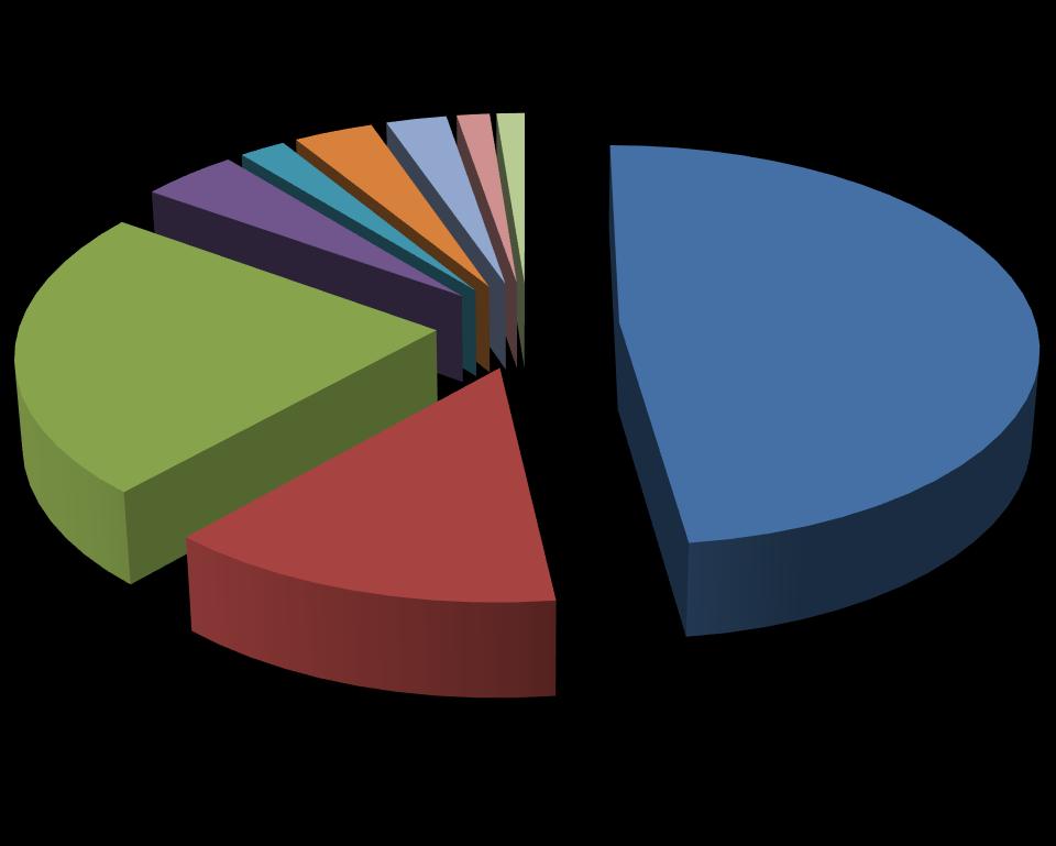 Procentuální zastoupení jednotlivých položek neinvestičních nákladů názorně zobrazuje následující graf na obrázku 3.