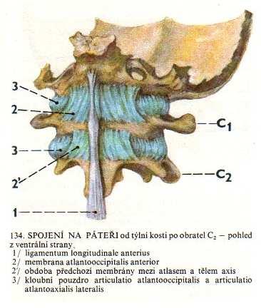 Obrázek 5.