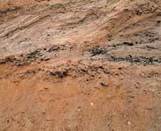 a Starého Jiãína, odkud jsou známy nejjiïnûj í sedimenty prokazatelnû ledovcového pûvodu. Nejvût í mocnosti dosahují ledovcové sedimenty v tzv.