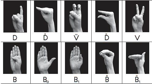 využívá především symboly (pro umístění znaku viz obr. 79, pro tvary rukou viz obr. 80, pro pohyb rukou viz obr. 81, pro orientaci dlaně a prstů viz obr. 82, pro vzájemné uspořádání rukou viz obr.