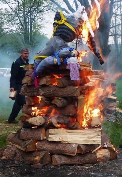 Odpoledne proběhla beseda s ochranářem přírody z CHKOJ a pak žáci prověřili své znalosti v kvizu o lese.