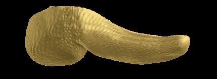 metformin sekretagoga α