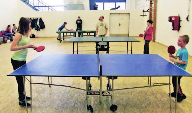 Shrnutí XV. ročníku Stolně pinčesového turnaje V pořadí již XV. ročník stolně pinčesového turnaje je za námi. Uskutečnil se v termínu 17. 3. 19. 3. 2017. Vlastní turnaj probíhal v sobotu 18.