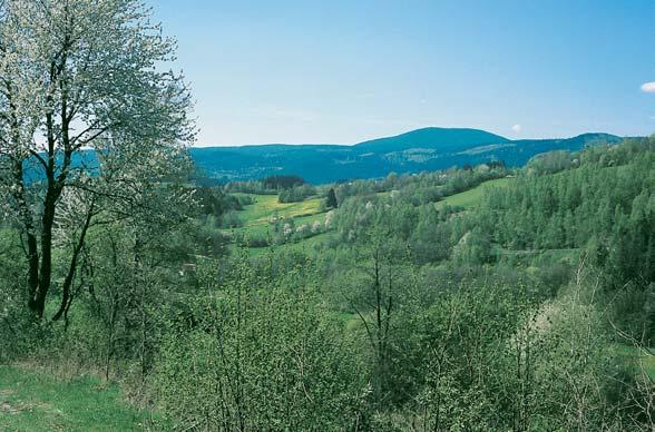 âeskobudûjovicko Nejvy í vrchol Boubínské hornatiny, Boubín (362,2 m n. m.) z údolí Blanice u Zábrdí.