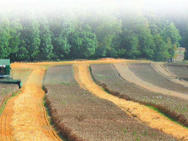To do značné míry ovlivňuje možnost pěstování a rozšíření osiva hybridní pšenice v Evropě. V této záležitosti však nyní nastává zásadní změna.