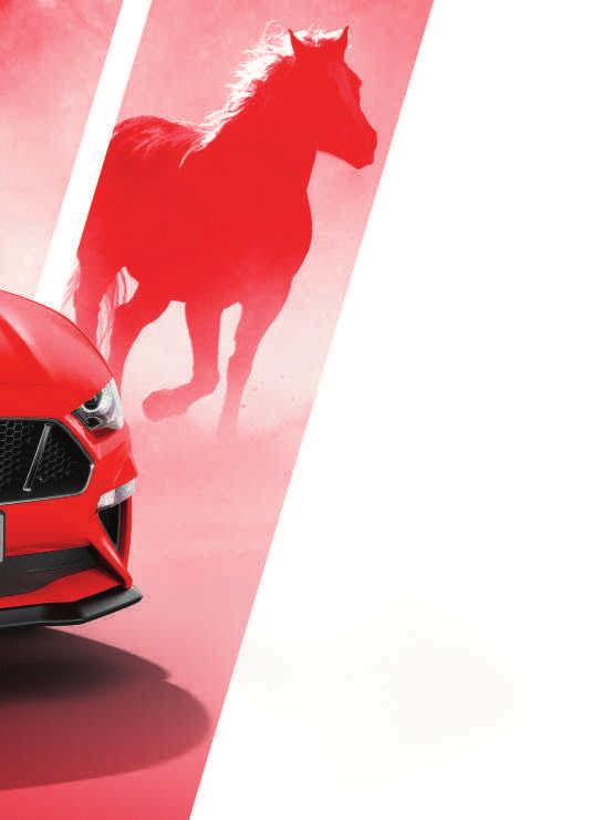 Speciální sportovní díly, navržené a zkonstruováné bez kompromisů, nesou hrdě označení Ford Performance. Sada vzpěr kapoty Plynové vzpěry jsou vyrobené z odolné oceli a hliníku.