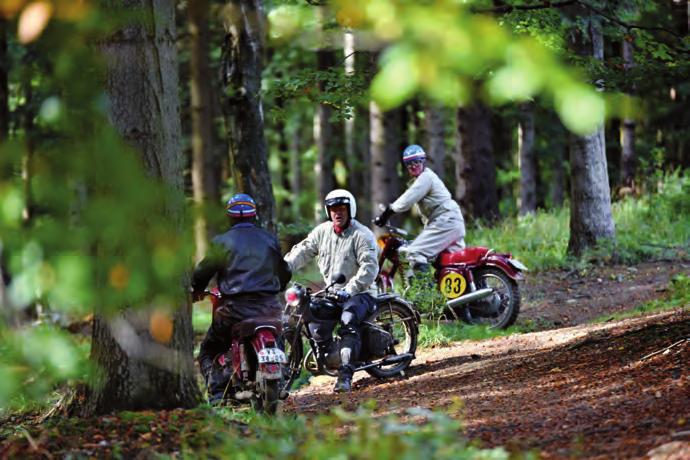 Slovy hlavního pořadatele a ředitele závodu pana Karla Zámečníka: Letošní ročník hodnotíme my jako pořadatelé velice dobře, stejně jako jezdci, kteří si mohli oficiálně projet místa, kde se