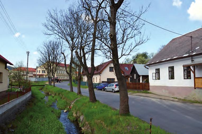 založena v roce 2014, rostou lípy srdčité, kultivar Greenspire. Což je hojně vysazovaný středně vzrůstný kultivar vzniklý v USA 1961.
