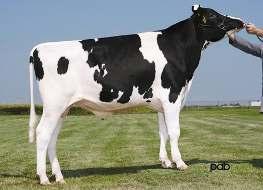 STE ODILE MERLOT NXB-456 MERIDIAN x BAXTER x GOLDWYN SULLY HART MERIDIAN LES091 BAXTER MODEL RUBIS 08-04 305 14 997 4.2% 625 3.