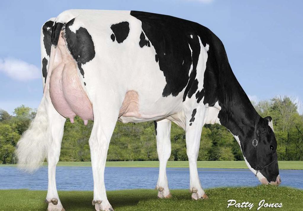 7% 2 015 kg COMESTAR LAUTAMA GOLDWYN 06-04 305 18 069 4.8% 865 3.2% 577 kg Air-Osa Lineman Celoživotně: 54 475 4.8% 2 604 3.6% 1 981 kg DN: 09.11.