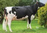 +0,05 % +27 kg Opakovatelnost Reliability 98 % (700 dcer/193 stád) SIH celk.inde Total inde 116,4 Porody Calving na krávy/for cows Plodnost pat.