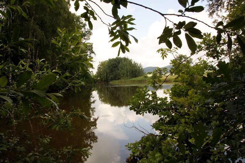 severním břehu rybníka Souška při hranici