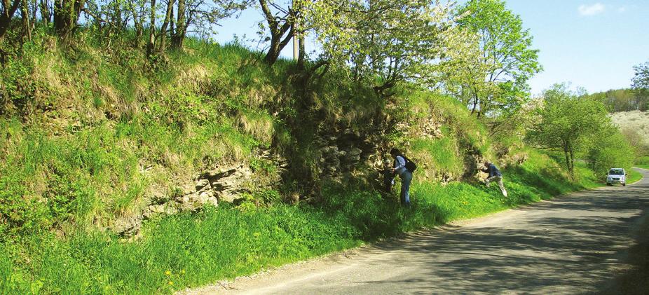 Hlavní horniny tu jsou šedé, jemnozrnné, vápnité pískovce až siltovce s nepravidelnými čočkami tvrdých, jílovito-písčitých vápenců a vápnité slínovce.