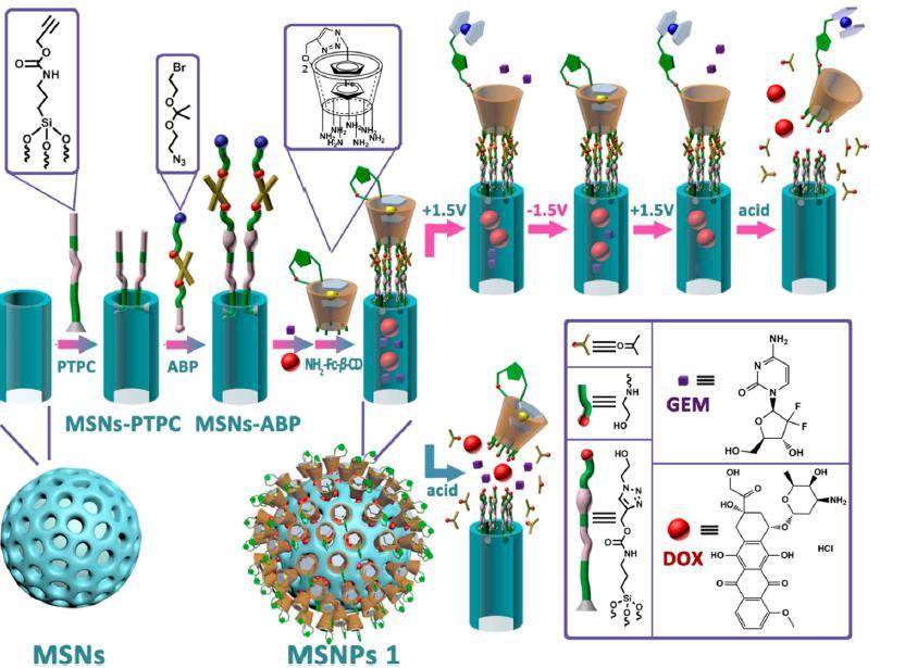 Mesoporous silica 30 Wang, T. et al.