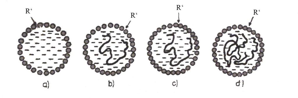 Obr. 1: Schéma postupu reakce uvnitř micely: a) difúze radikálu do micely, kde utvoří aktivní centrum polymerace; b) difúze dalšího radikálu pro ukončení růstu polymeru; c)následující difúze radikálu