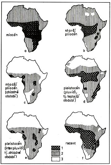 Rozšíření deštného pralesa, savan a pouští v různých obdobích neogénu a kvartéru v Africe. 1.