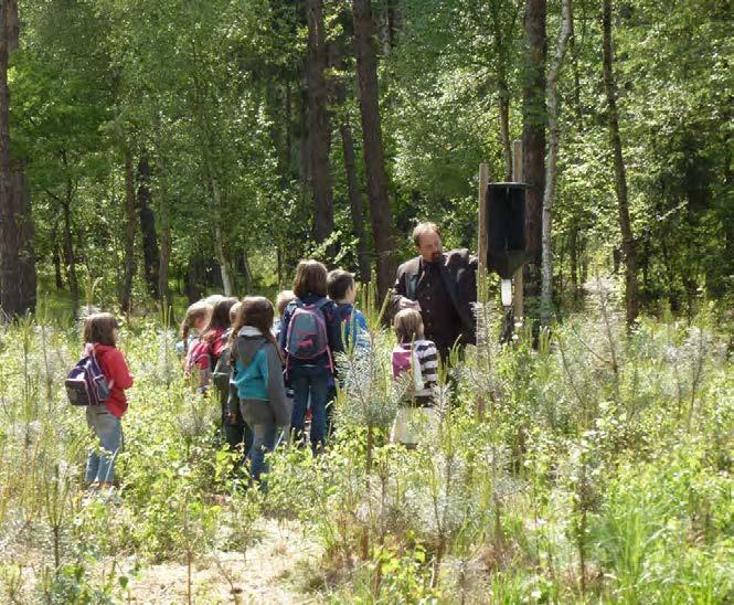 Dačice s. r.o., Lesy města Brna, a. s., Správa veřejného statku města Plzně, příspěvková organizace, Městská správa lesů Pelhřimov s. r. o., Lesy města Písku s. r. o., Správa lesů města Tábora, s. r. o., Lesní družstvo Vysoké Chvojno s.