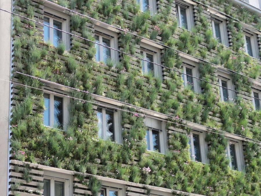 Building Green Facades Buildings - Green Facades Measure overlaying