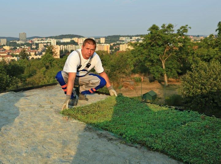 Snadným napojením jednotlivých modulů do sebe vytvoříte okamžitě zelenou střechu.