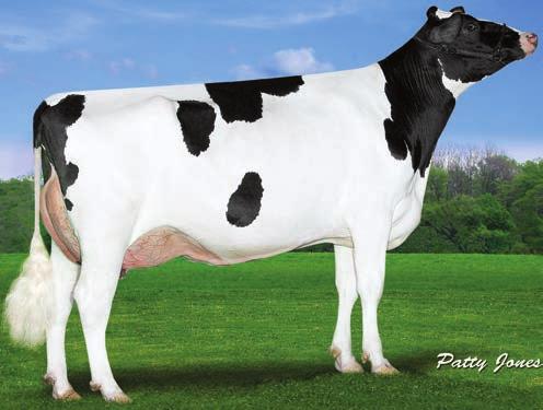 Silver-ET 756794 Rosylane-Llc Spsire 755-ET 746733 +633 +86 4/8 8% 333 kg Bílkovina Kg +.8 Tuk 5 Kg +.