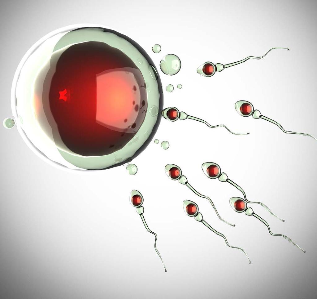 Nový věk sexované genetiky Průlom v sexování inseminačních dávek Nejlepší býci ABS Vyšší relativní zabřezávání* Sexcel je sexovaná genetika, která v sobě kombinuje technologii.