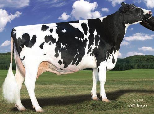 dcer kgs %F %P : LARCREST ROBUST CABOODLE V-86 MD DOM HODNOCENÍ TYPU DUBEN 8 HA 4/8 Dcer Stád 79% Spol. - + +.73.78.