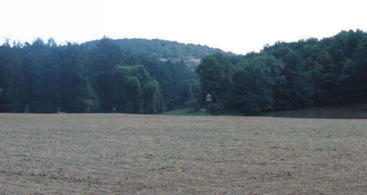 PARALIPOMENA K LENGYELSKÉMU OSÍDLENÍ KRUMLOVSKÉHO LESA 51 Nejpočetnější složkou inventáře je štípaná industrie (tab. 1).