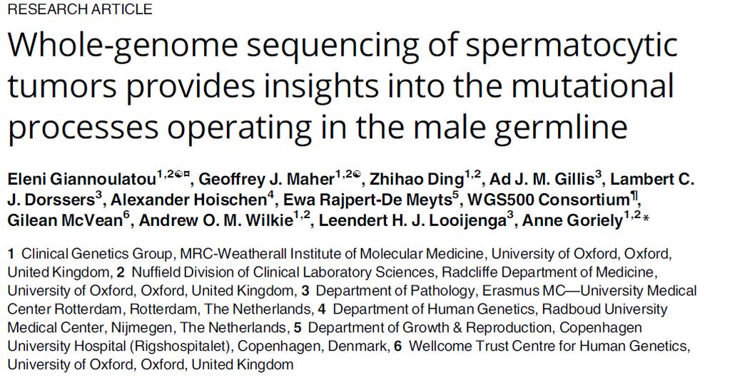 Původ germinální komponenty Chromozomální numerické aberace spermatocytického tumoru: zisk chromozomu 9,20, ztráta chromozomu 7