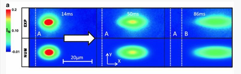 PŘEHLED SOUČASNÉHO STAVU POZNÁNÍ Dalším přístupem, který lze použít při zkoumání toku maziva, je metoda obnovení fluorescence po fotovybělení (FRAP fluorescence recovery after photobleaching).