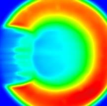 VÝSLEDKY kontaktní oblasti, ale to je způsobeno nižší intenzitou osvětlení kontaktu, a tím pádem menší fluorescenční emisí použitého barviva.