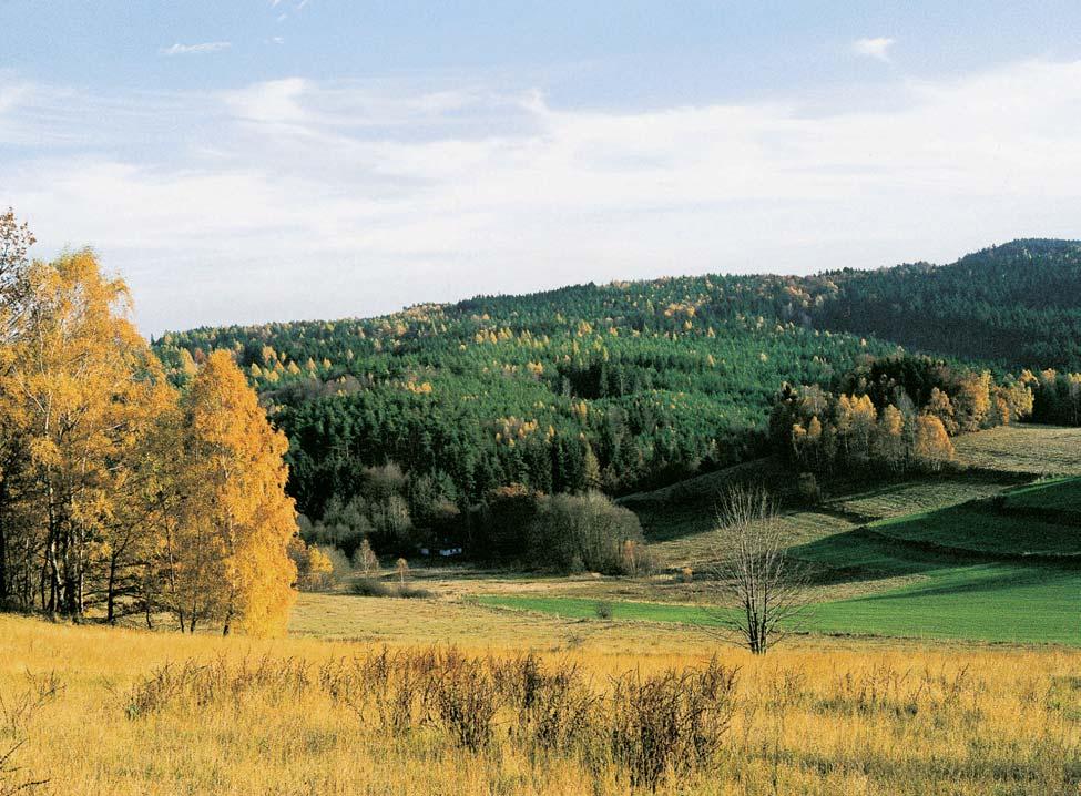 Jihlavsko 2 Podzimní krajina v okolí Rejãkova. 2 Na opukov ch stráních v okolí SobíÀova roste vzácnû oman vrbolist (Inula salicina).