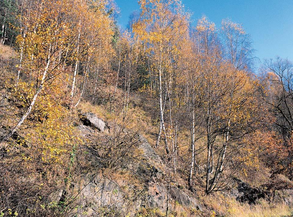 Okres HavlíãkÛv Brod pfiítoku Labe Doubravy a malou pfiíhraniãní ãástí (P 43 km 2 ) zasahuje do sousedního povodí Chrudimky.