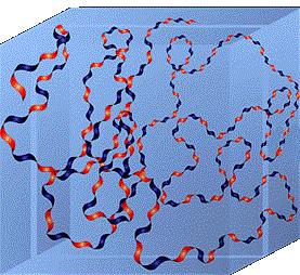2.3.2. Tvorba polymerních roztoků V roztoku je řetězec molekuly hyaluronanu zpevněn kombinací chemické struktury a vazeb disacharidových jednotek, vnitřními vodíkovými interakcemi a interakcemi s