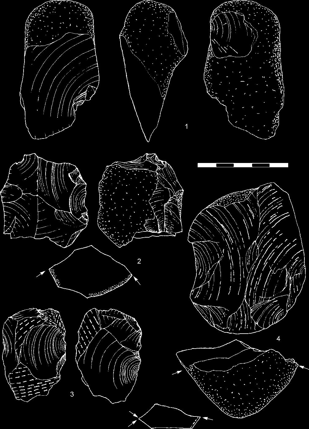 1 refitting of the hammerstone from coars-grained rock; 2 refitting of chert frost fragments with traces of chipping. Obr. 15. MKIV-1, vrstva 2. Subdiskoidní unifaciální jádra. Fig. 15. MKIV-1, layer 2.