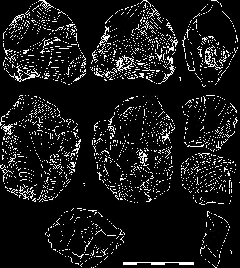 1 2 discoid cores sensu stricto; 3 unifacial subdiscoid core. Obr. 16. MKIV-1, vrstva 2.