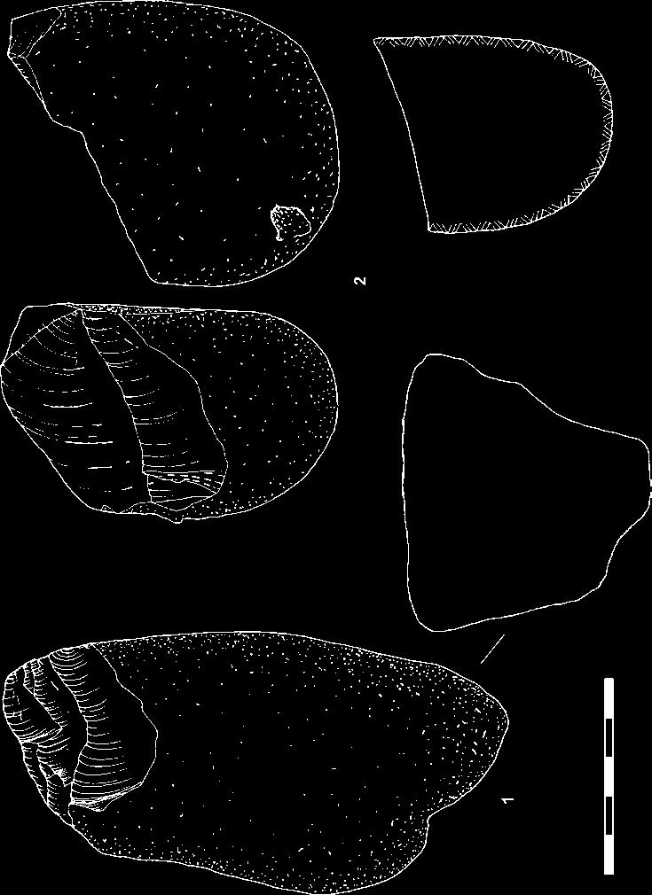 MORAVSKÝ KRUMLOV IV VÍCEVRSTEVNÁ LOKALITA ZE STŘEDNÍHO A POČÁTKU MLADÉHO PALEOLITU NA MORAVĚ MORAVSKÝ KRUMLOV IV MULTILAYER MIDDLE AND EARLY UPPER PALAEOLITHIC SITE IN MORAVIA Obr. 21.