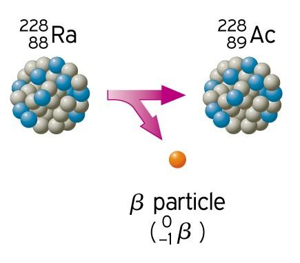 β částice Obr. č. 3.3 : Schéma beta rozpadu rádia na aktinium. [17] Radioaktivita β + se vyskytuje u radionuklidů s nadbytkem protonů. Nadbytečný proton se změní na neutron a pozitron.