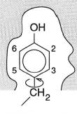 NMR Dynamika pohybu