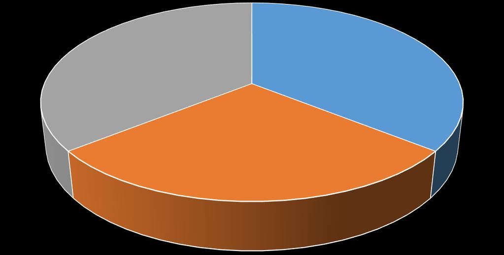 Graf 1: Struktura ředitelství vykonávajících činnost ZŠ a MŠ zřizovaných obcemi MŠ ZŠ ZŠ a MŠ Zdroj: Šetření Realizačního týmu MAP Lanškroun Vedle výše zmíněných škol se na území ORP Lanškroun