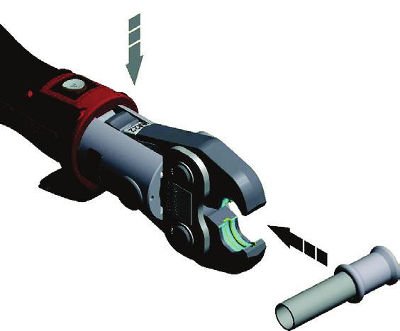 / ECO203