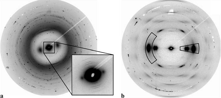 Rentgenová difrakce X-ray microdiffrakční diagramy jednotlivých vláken (a) CoL 204 and (b) CoL 205 (2 μm beam size, ca. 10 s acquisition time).