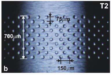 nonconformal rolling/sliding contacts.