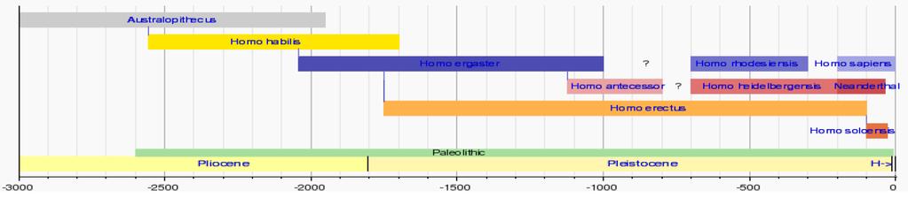 Archeologické členění kvartéru paleolit (starší doba kamenná) - starší: 2,6 0,3 mil. let Homo habilis, H. ergaster, H. erectus - střední: 0,3 0,04 mil.