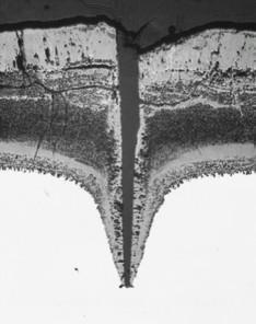 Kde: 1 1 = N fatique f N + 1 oxidation f N + 1 creep (10) f N f N f fatique počet cyklů do lomu od mechanického namáhání N f oxidation počet cyklů do lomu od oxidačního mechanismu N f creep počet