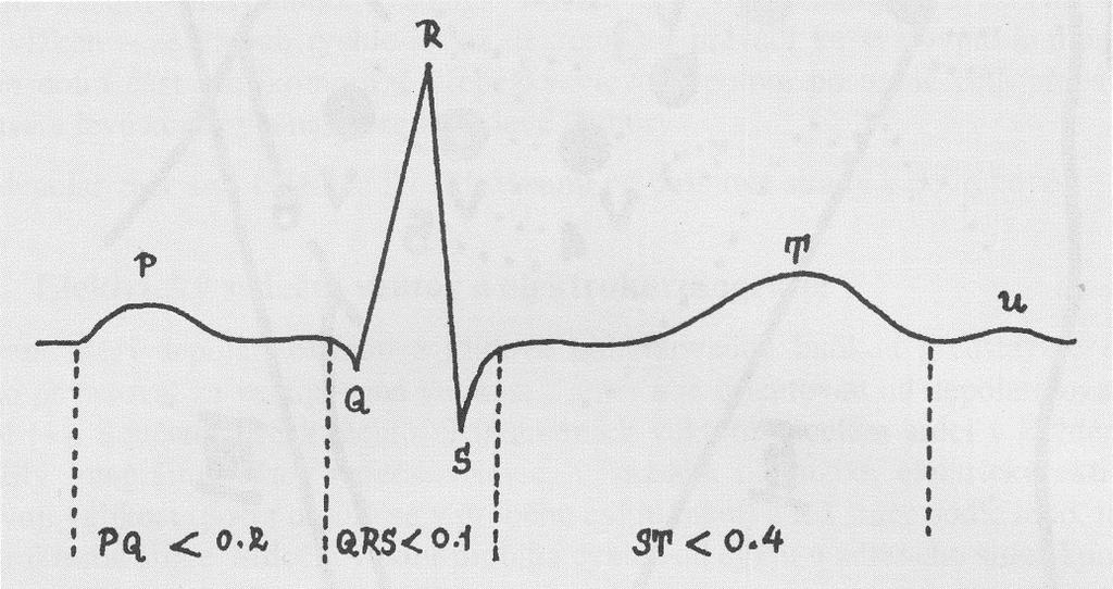 2.2 Komponenty signálu EKG signál je složen ze specifických částí. Ty odpovídají postupu vlny depolarizace myokardem.