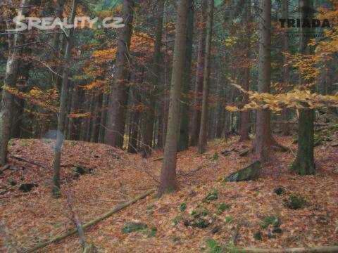 Popis: Lesní pozemky jsou v jednom celku, se smíšeným porostem (smrk, borovice, olše) stá í 50 115 let.
